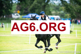 opta预测欧冠冠军概率：阿森纳29.47%最高拜仁第二，皇马低于纽卡